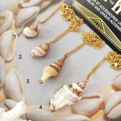 colliers chaine acier inoxydable et pendentif coquillage