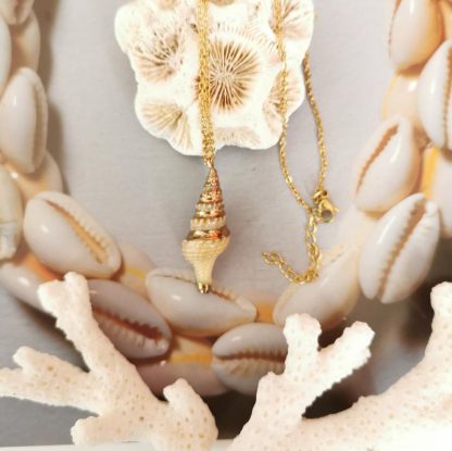chaîne acier inoxydable et pendentif coquillage torsadé n°3