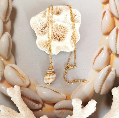 chaîne acier inoxydable et pendentif coquillage n°2