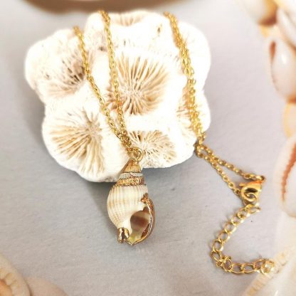 chaine acier inoxydable et pendentif coquillage n°2 détails