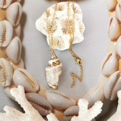 chaîne acier inoxydable et pendentif coquillage conque n°4