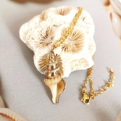 chaîne acier inoxydable et pendentif coquillage torsadé n°3